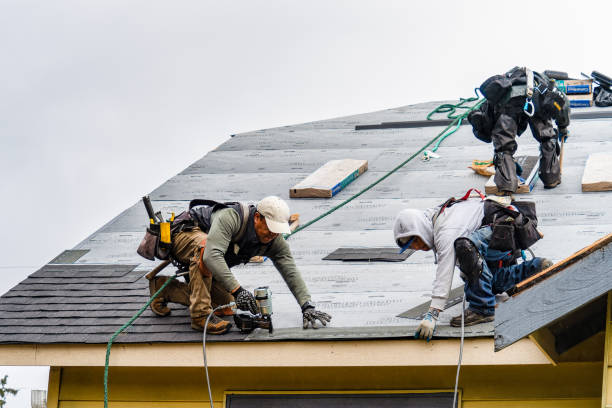 Professional Roofing technician working in Adams, OR